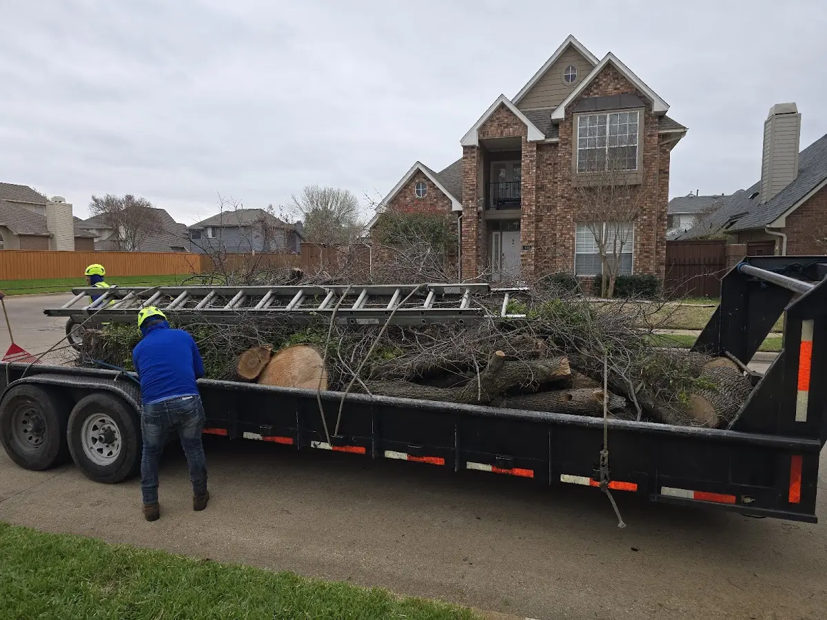 Expert Tree Removal with proper safety equipment in Hennepin